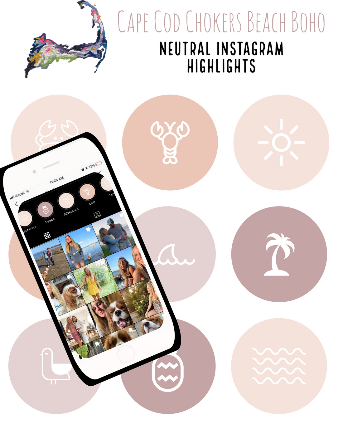 Instagram Highlights **FREEBIE**
