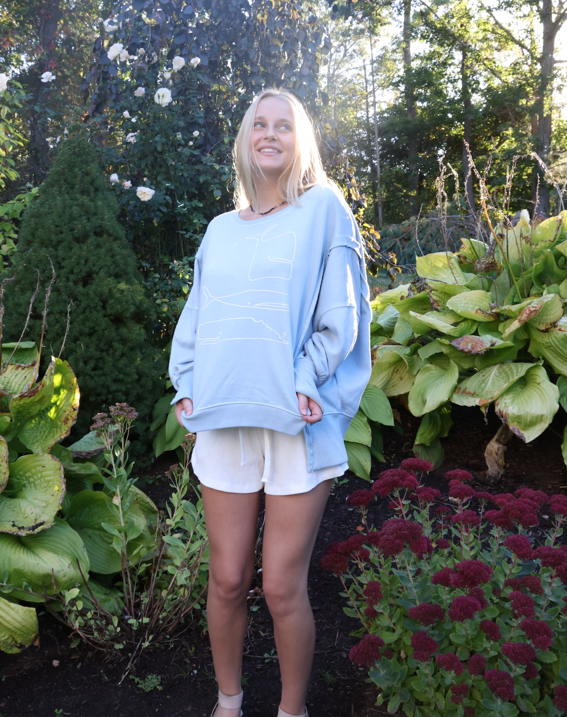 NEW!! Oversized Triple Whale Baby Blue