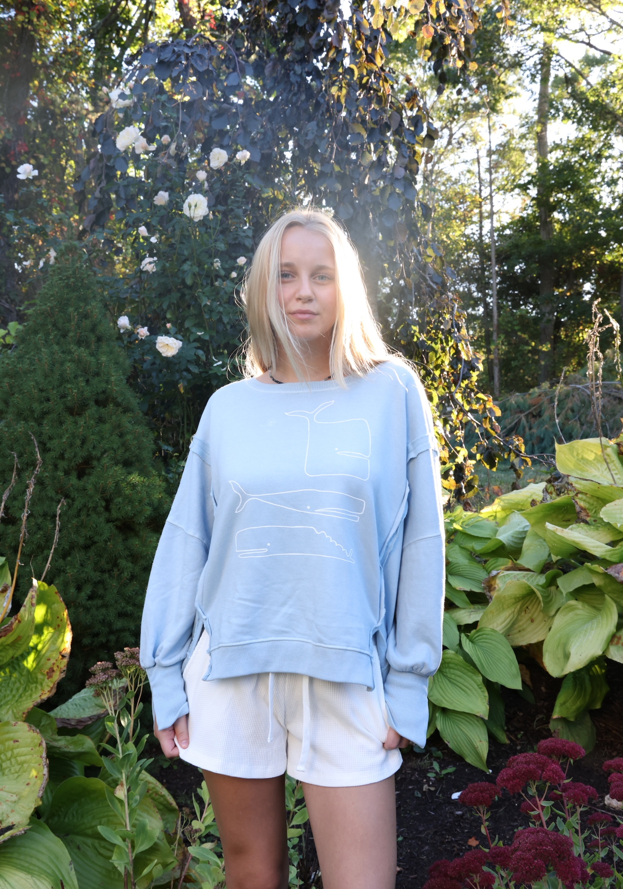 NEW!! Oversized Triple Whale Baby Blue