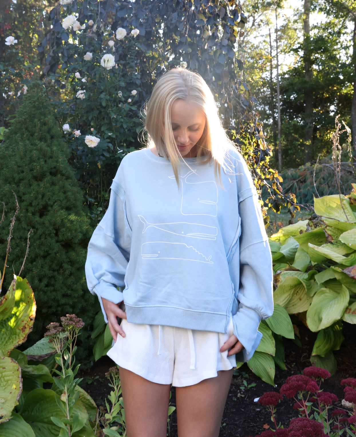 NEW!! Oversized Triple Whale Baby Blue