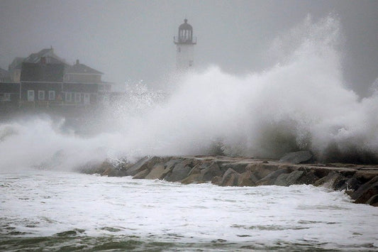 Heartwarming Nor'easter