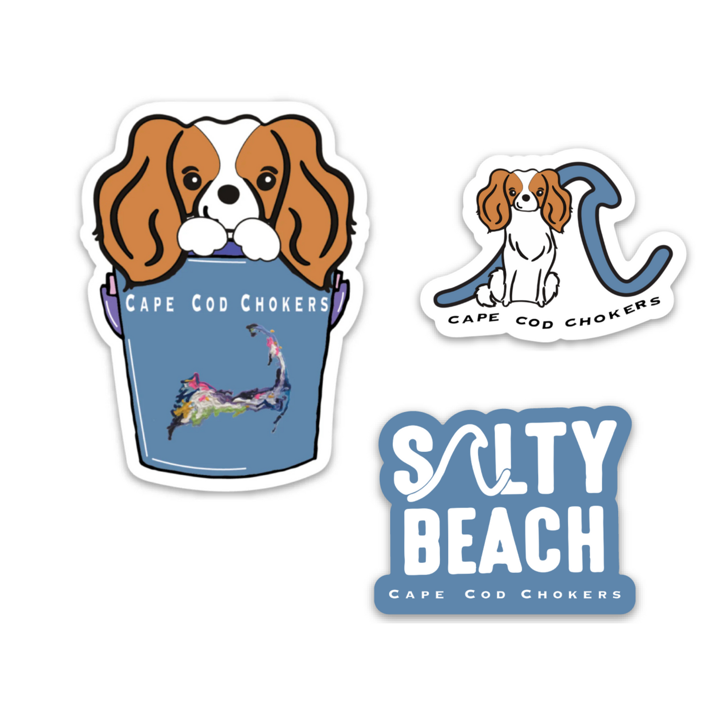 Salty Beach Pup Collection